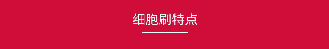 細(xì)胞刷_03.jpg
